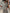 2025 Elegant Striped Knit Two-Piece Set for Women – V-Neck Short Sleeve Top & Wide Leg Drawstring Pants