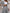 SheVogue Striped Suit Set – Spring Elegance