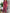 SheVogue Solid Color Set – Summer Street Style