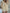 2025 French Style 2-Piece Set for Women – Flare Sleeve Lace-Up Blouse & Sheer Mesh Shorts with Ruffle Hem