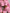 Zipper Collar Shorts Set – SheVogue Summer 2-Piece Outfit