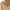 Shevogue 2025 Belted Summer Dress - Loose Casual Short Sleeve Slim Fit